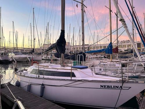 Lapa Alquiler De Eote | Lisboa Sailing Tours - Night on board - Alcantara