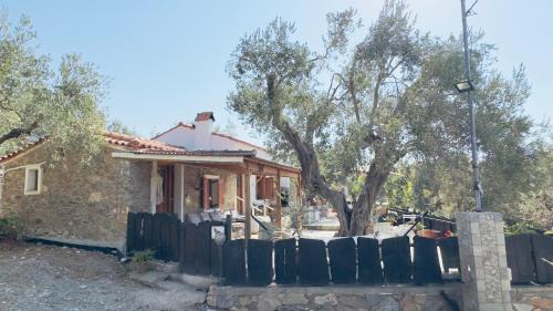 Plomari Casa | Lithos Estate Plomari