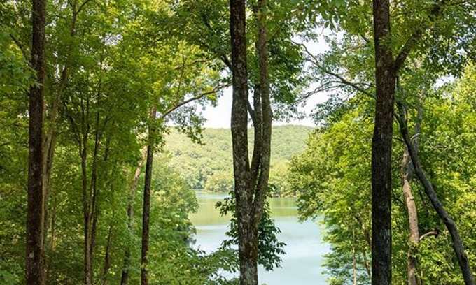 Big Canoe Cabaña | Little Deer Lodge|Charming|Stunning Mllion $ View|
