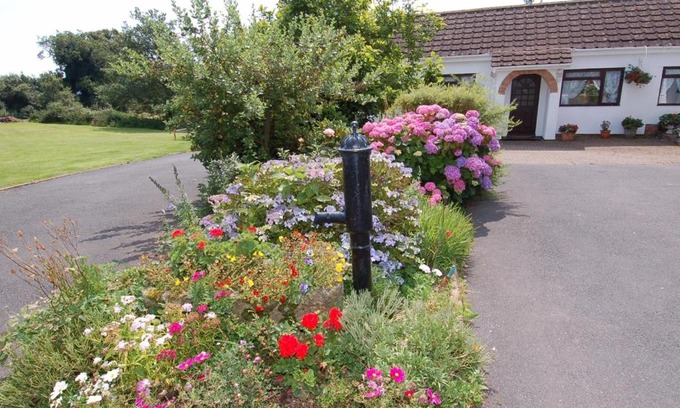 Dawlish Casa | Little Waycroft