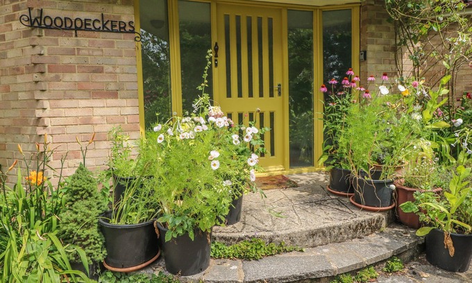 Martin Cabaña | Little Yaffle