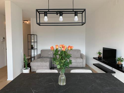 Lugano Apartamento | Live Lugano - Via Massagno
