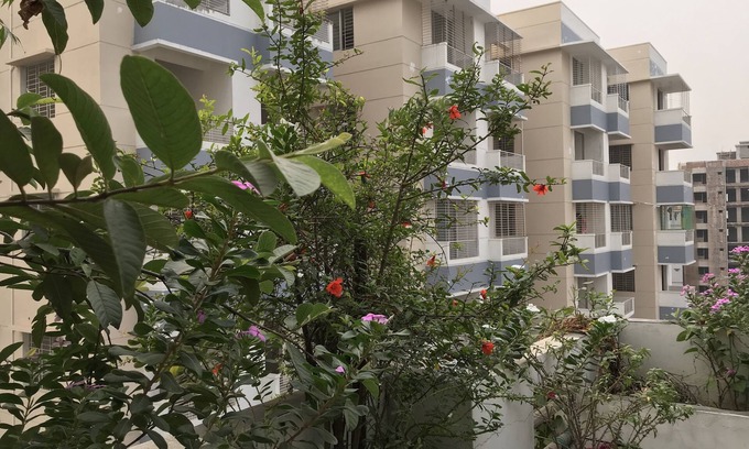 Dhaka Apartamento | Living At Home