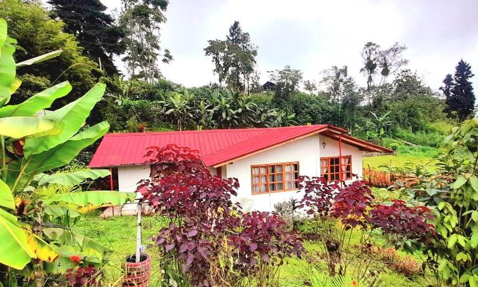 Nanegalito Casa | LODGE NATAN