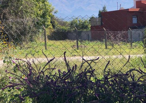 San Salvador de Jujuy Apartamento | loft de san salvador