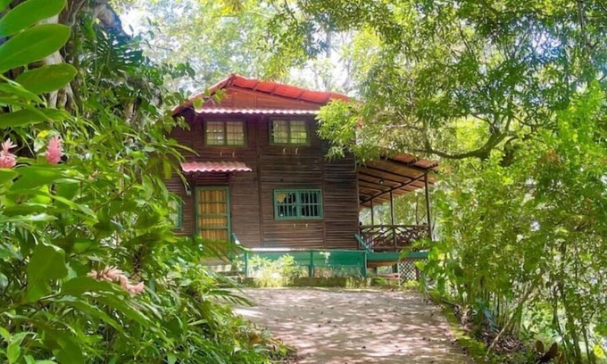Desamparaditos Cabina | Log cabin. Wooden soul dressed in jungle pet friendly