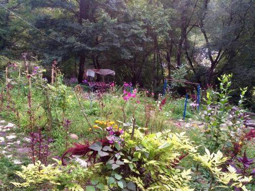 Ambrolauri Apartamento | Lola