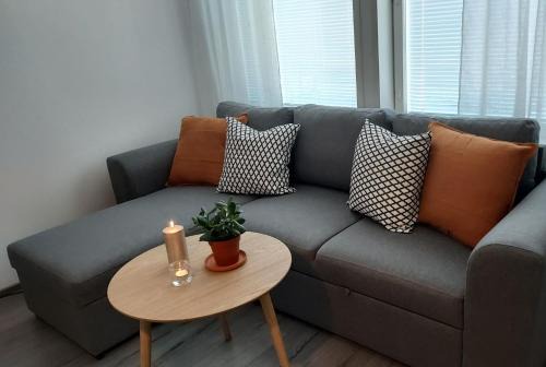 Sotkamo Apartamento | Lomayksiö C 2 Sotkamon keskustassa