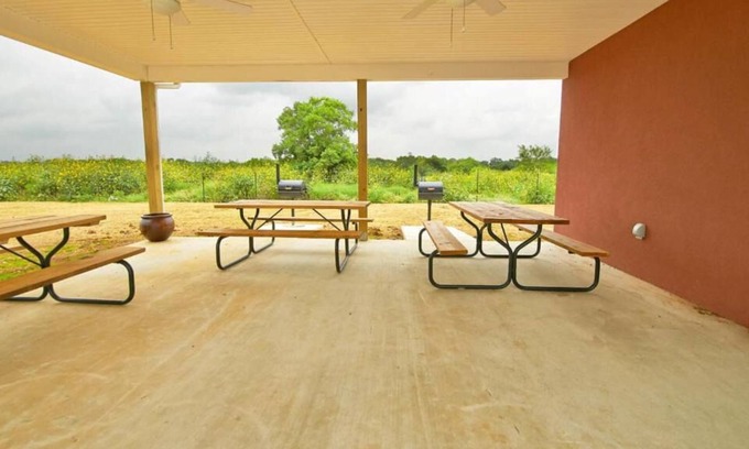 Pleasanton Casa | Longhorn Museum Tour! 3 Pet-friendly Units w/ Private Kitchens & Free Parking!
