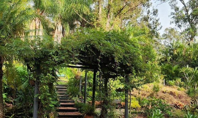 Oxenford Casa | Love my casa
