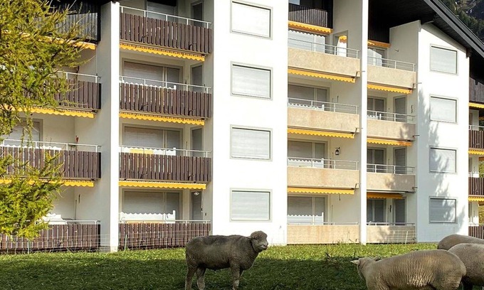 Parpan Apartamento | Bonito apartamento para 6 personas con WIFI, TV y balcón