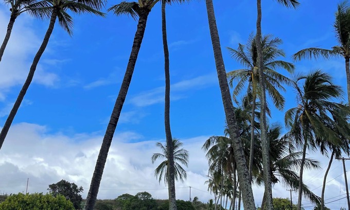 Poipu Condominio | Lovely beach view condo in Poipu!