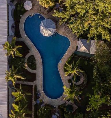 Damas Apartamento | Lovely Condo near monkey habitat and beach