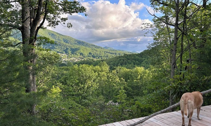 Waynesville Alquiler De RV | Lover’s Lookout is a treetop retreat / perfect for a romantic escape.