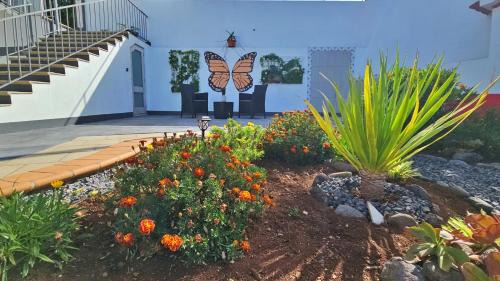 Santana Apartamento | Lower Floor In Flor do Campo - Santana