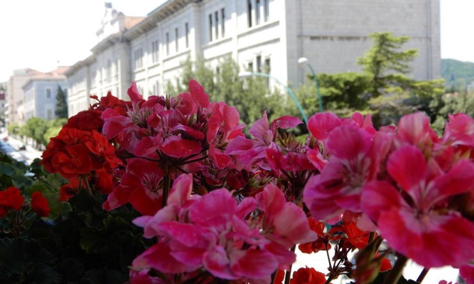 Murat Town Cama Y Desayuno | Luciano And Son