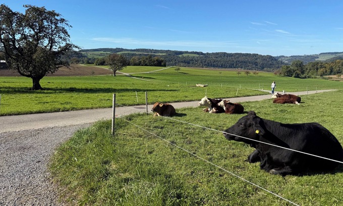 Dietikon District Condominio | Lux Duplex apartment with Sauna & Cold plunge 10 mins from Zürich city