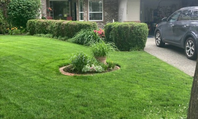 Walnut Grove Apartamento | Luxe Lower Private Suite Escape