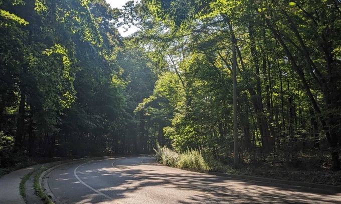 Clarkson-Lorne Park Apartamento | Luxury Apartment Living in an Elite Neighborhood