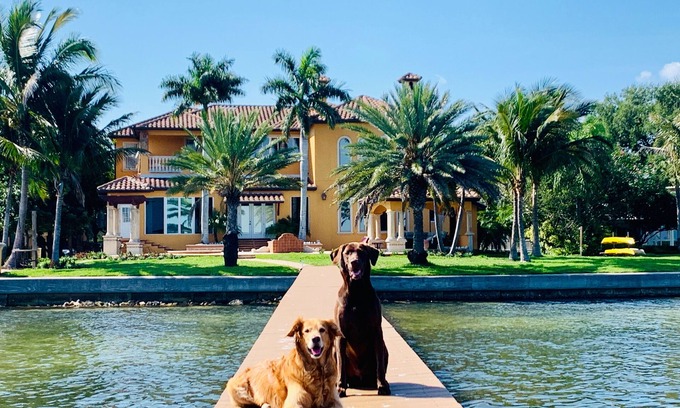 Greater Pinellas Point Casa | Nueva propiedad de lujo en la costa