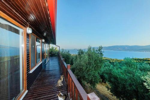 Bandirma Apartamento | Luxury Wooden House İn The Heart Of Nature