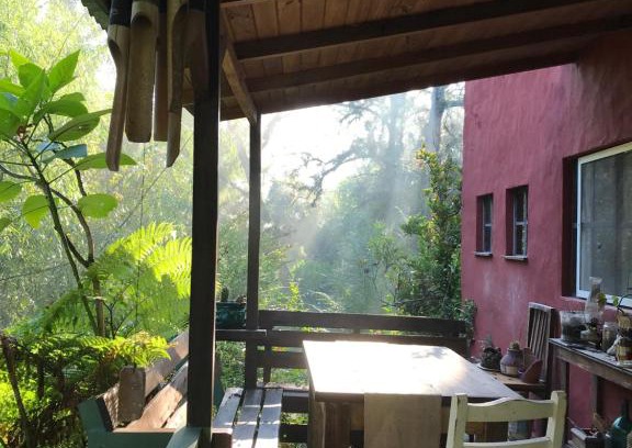 Partido de Tigre Casa | Mágica casita isleña