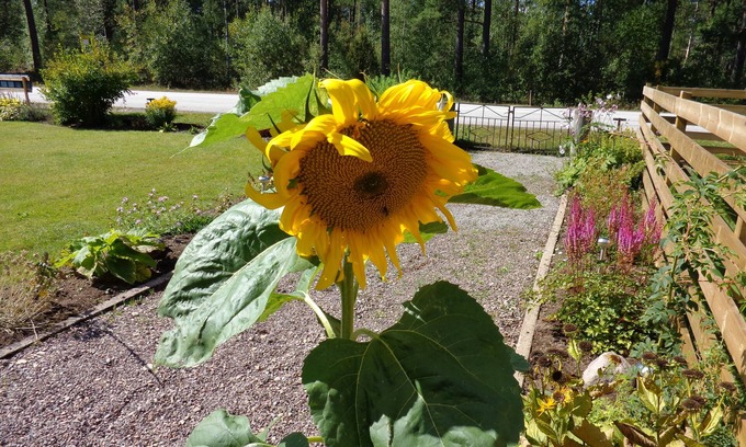 Maleras Cama Y Desayuno | Målerås Vandrarhem B&B