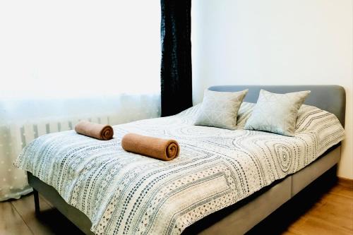 Panevezys Apartamento | M&M Apartment VII Self CHECK-IN