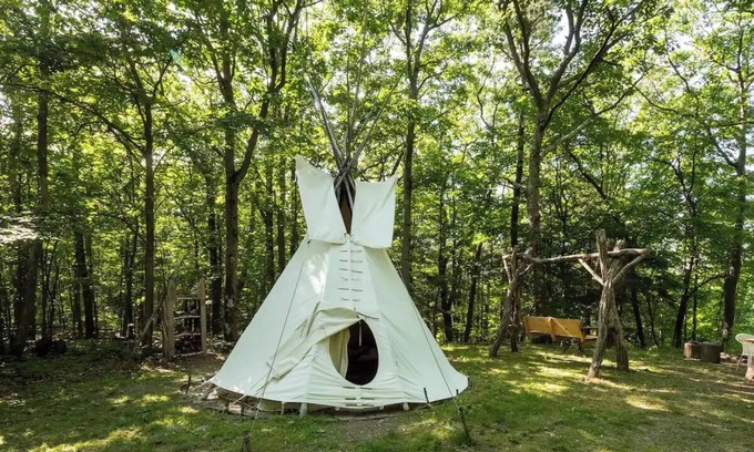 Coeymans Hollow Cabina | Magic Forest Farm Garden Tipi