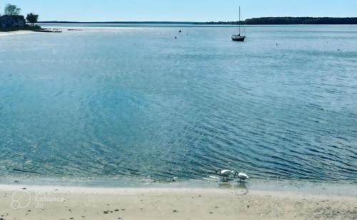 Warwick Apartamento | Magical Midgely