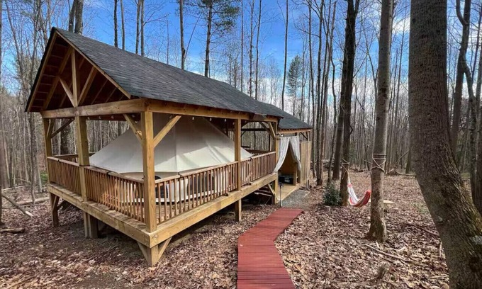 Traphill Alquiler De RV | Magical Woodsy Glamping minutes from Stone Mountain, NC