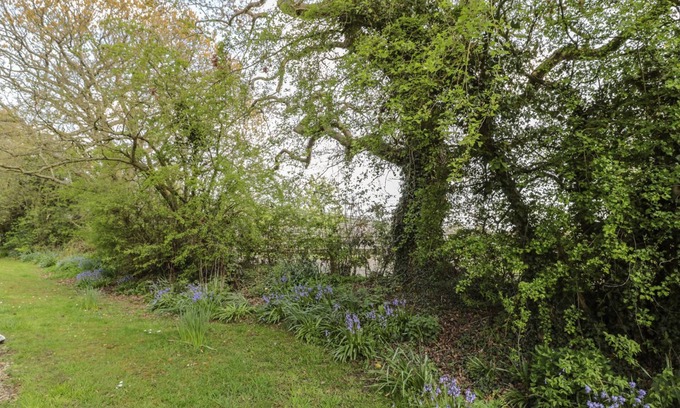Morpeth Cabaña | Magpie Cottage
