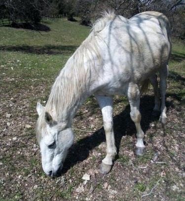 Montieri Apartamento | Magrignano