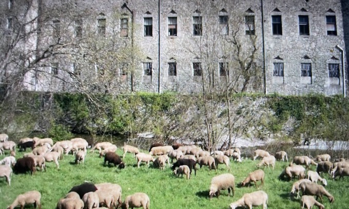 Notre-Dame-de-la-Rouviere Casa | Maison au coeur des cévennes