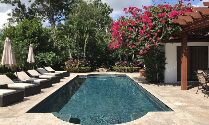 Wellington Casa | Maison Du Sud - Oasis tropical de lujo con hermosa piscina y jardín