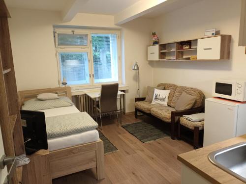 Hradec Kralove Apartamento | Malý útulný byt V Lipkách