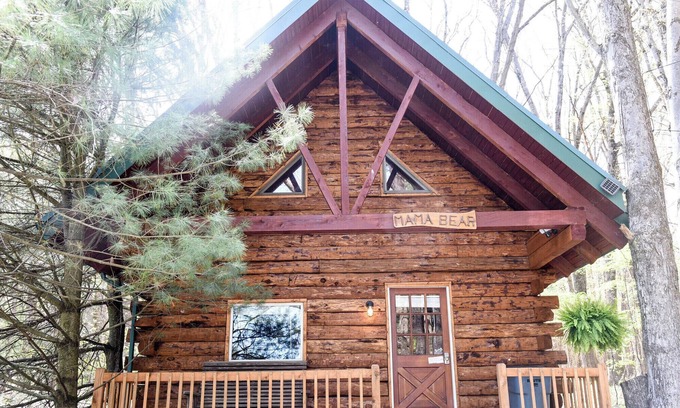 Leeper Cabina | Mama Bear Log Cabin near Cook Forest State Park