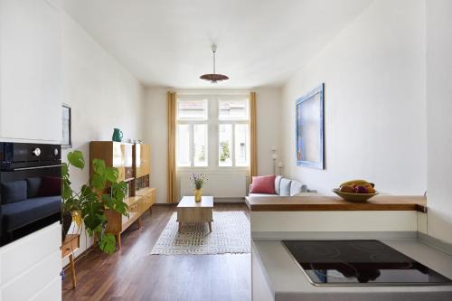 Bubenec Apartamento | Mama's apartment in Letna