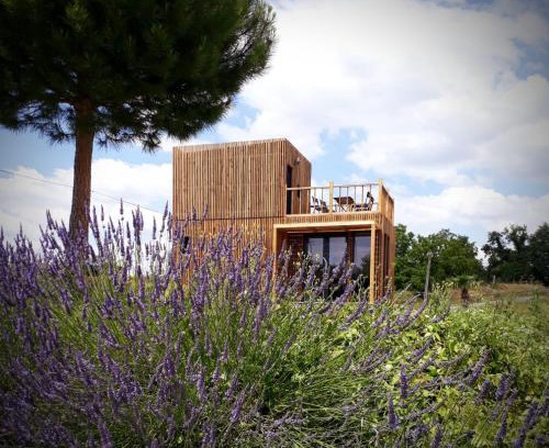 Chateauvieux Cabina | Manège de la Chapinière - DadaLoge tiny-house