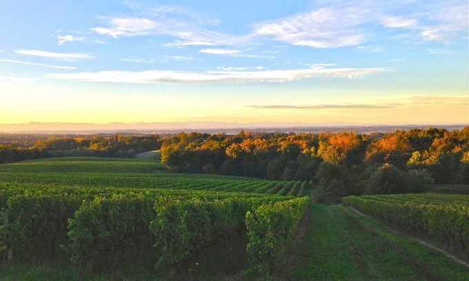 Valence-sur-Baise Casa | señorial en el campo 175m s sitio / con encanto cerca de ocio y festivales