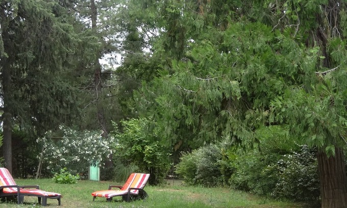 Narbonne Casa | Mansión Gran comodidad, A la sombra de los grandes árboles del parque
