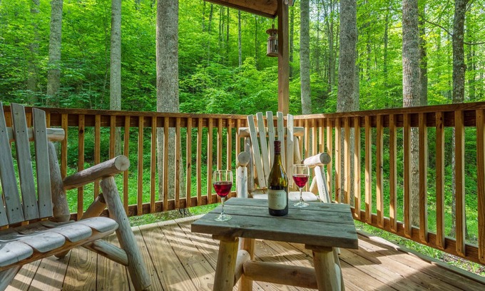 Mars Hill Cabina | Cozy Mtn Cabin, Gas Log Fireplace+Firepit, Grill & Wi-Fi, Private, Nearby AVL!