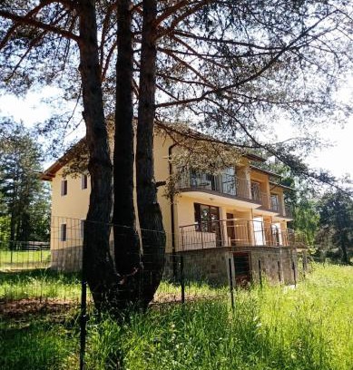 Tsigov Chark Cabina | Margarita Mountain Apartments