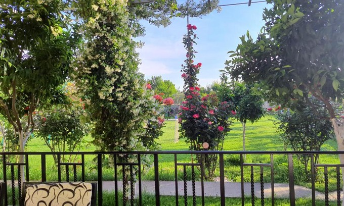 Sakës Casa | Margjelo's Twin Houses in the garden