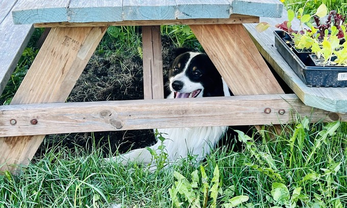 Seward Hotel | Marina Motel