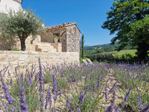 Saint-Martin-de-Castillon Casa | Mas Cerisiers