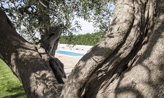 Turi Hotel | Masseria Gravelle