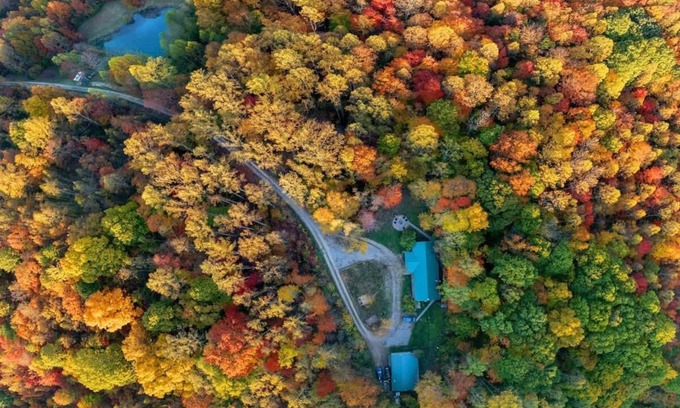 Laurelville Cabina | Master Sculptor's Art Lodge Retreat-Hocking Hills