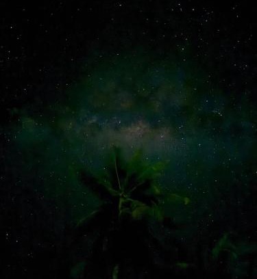 Maupiti Otro | Maupiti Bambou Camping