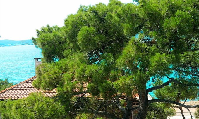 Ayvalik City Center Casa | Mavi Pansiyon